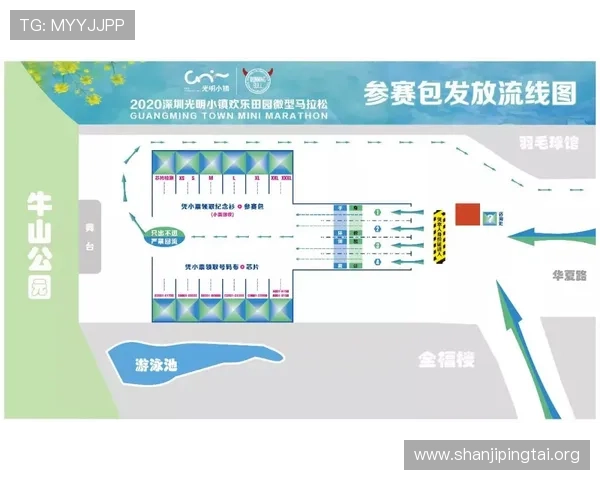 九州体育BET备用平台的安全验证流程详解与用户操作指南
