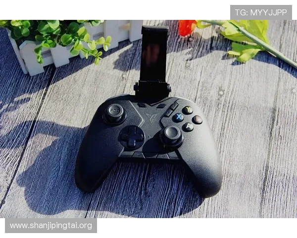 博鱼电竞如何提升玩家竞技水平,提供专业培训与实战技巧分享平台 博鱼电竞如何提升玩家竞技水平,提供专业培训与实战技巧分享平台
